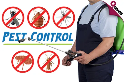 From QR125 Rid Your Home from Pests OR Bedbugs with Professional Pest Control Services! (Up to QR800 Value)